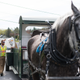 Illustration for article titled How Can I Get This Horse-Powered Garbage Truck To My Neighborhood?